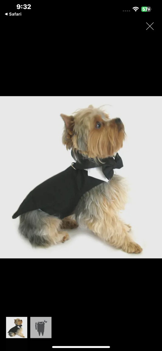 Dog tuxedo