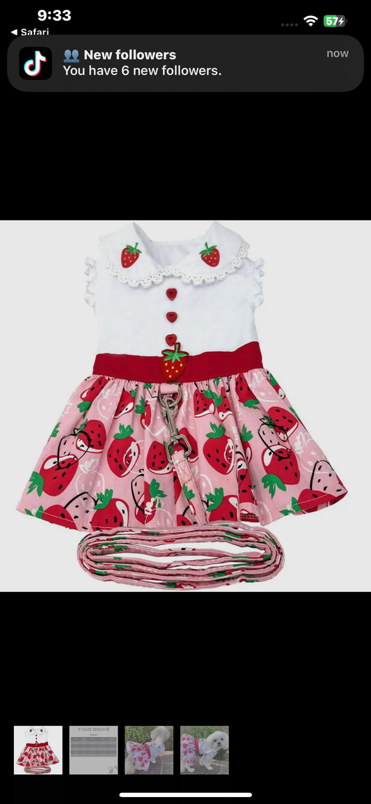 Strawberry dog dress