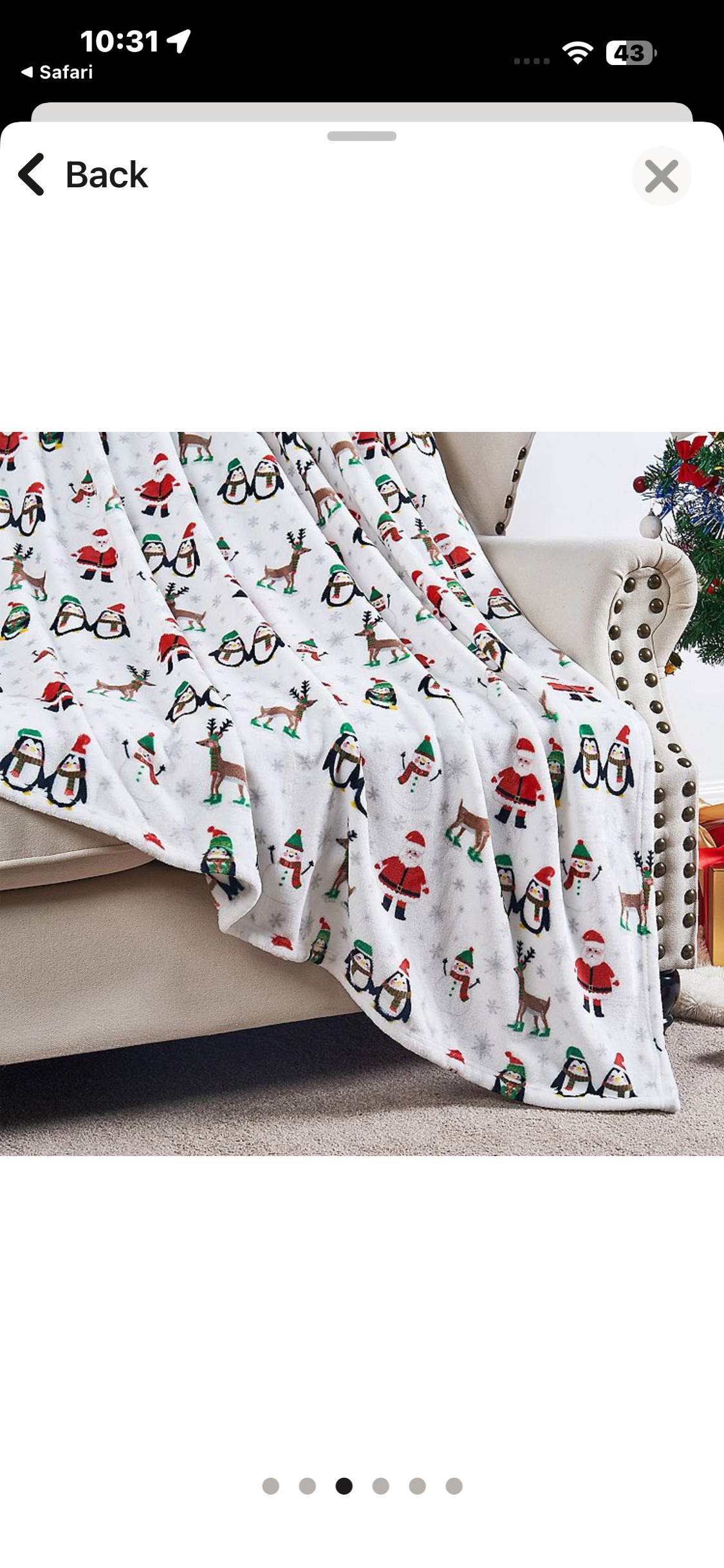 Holiday plush blanket